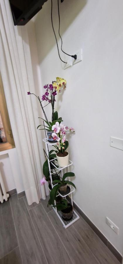 Orchidea Bed & Breakfast Bologna Exterior photo